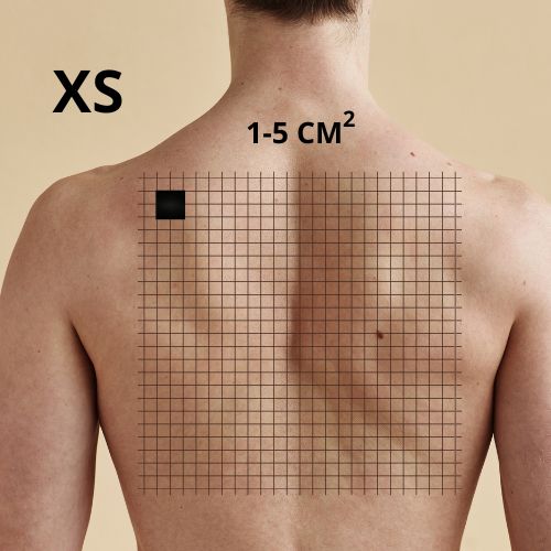 detatouage taille xs